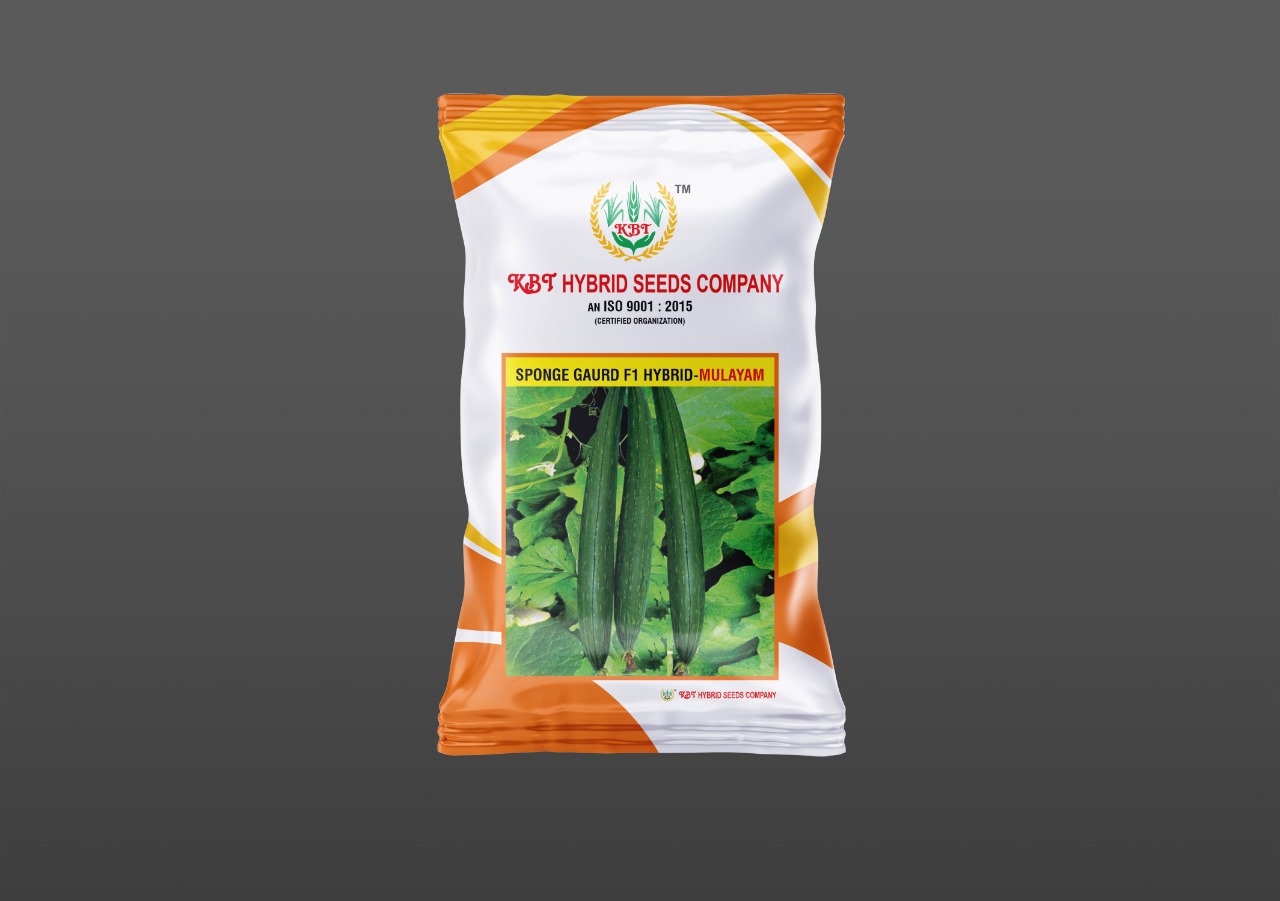 SPONGE GAURD नेनुआ F1 HYBRID - MULAYAM 10g